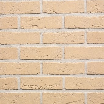 Agora Wit Ivoor WFD Agora Wit Ivoor WFD